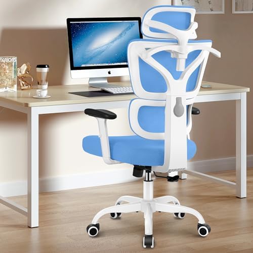 Winrise Workplace Chair Ergonomic Desk Chair