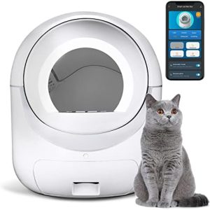 Self Cleansing Cat Litter Field